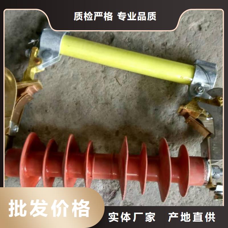 熔断器金属氧化物避雷器细节展示当地供应商