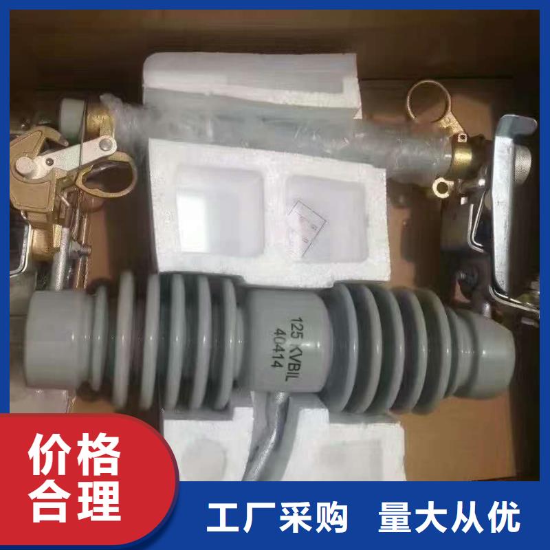 熔断器_开关量大从优实力派厂家