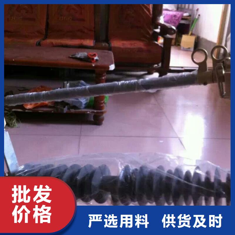 熔断器绝缘子技术先进本地厂家