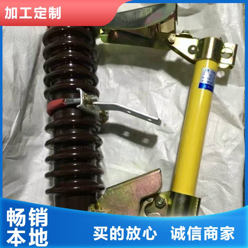 熔断器,绝缘子甄选好厂家本地厂家