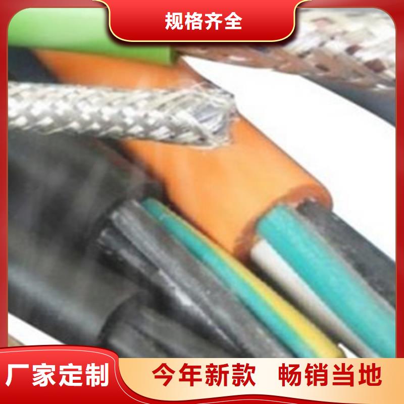 特种电缆屏蔽电缆可零售可批发一站式厂家