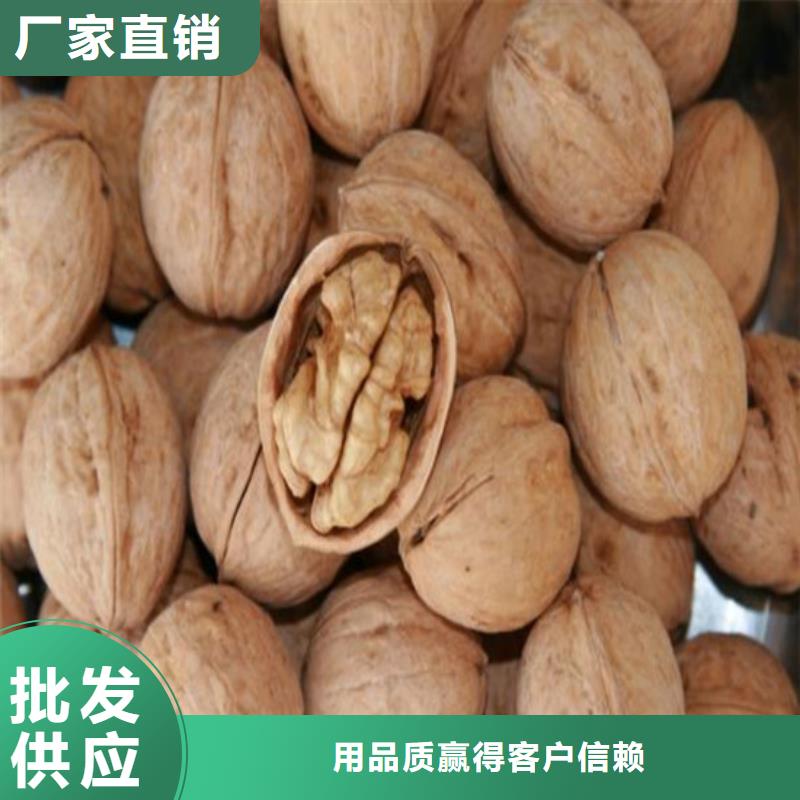 核桃苗-苹果苗款式新颖批发价格