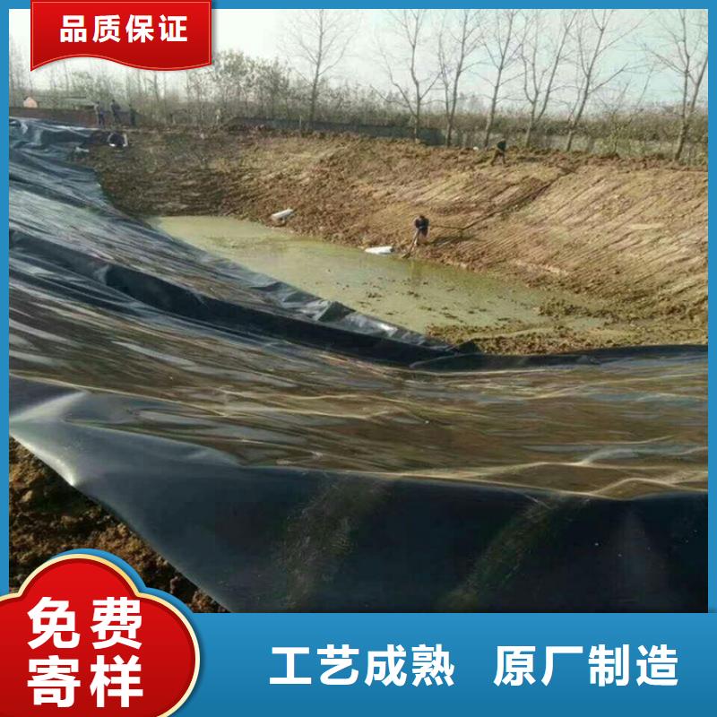 土工膜土工格栅可放心采购本地制造商