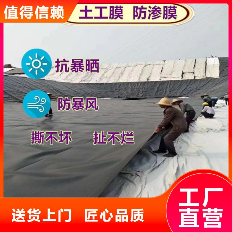 【土工膜】土工布优选货源本地经销商