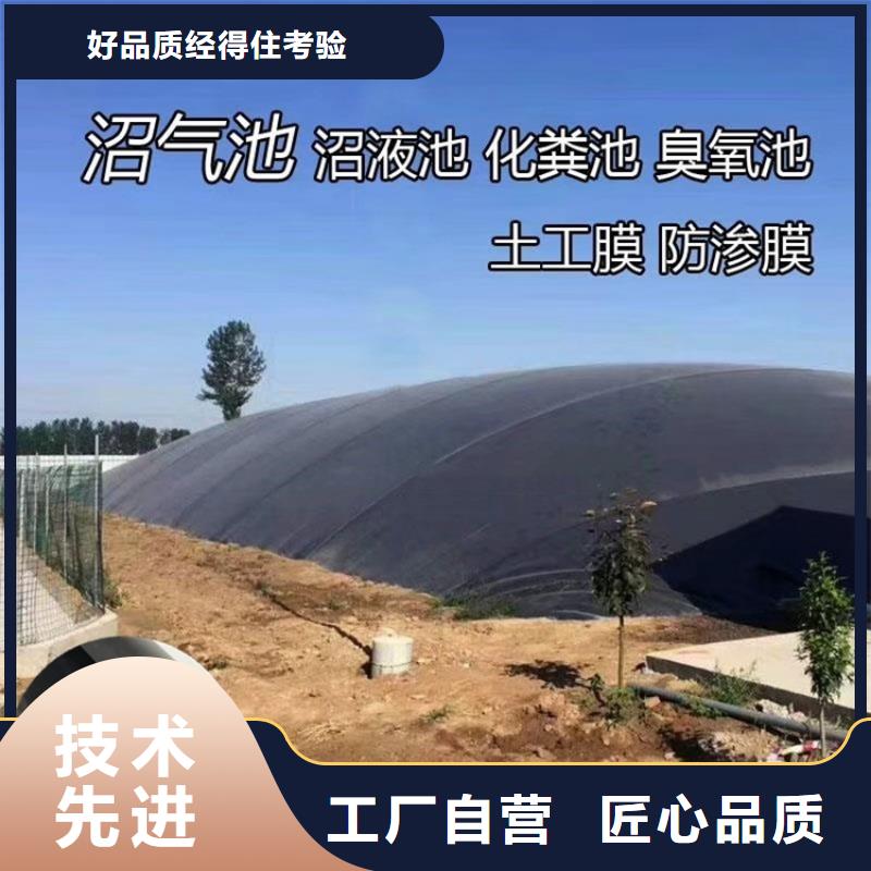 土工膜膨润土防水毯厂家技术完善为品质而生产