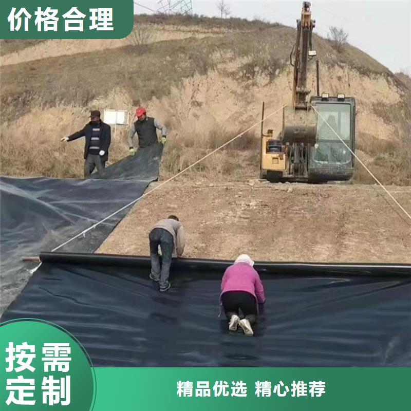土工膜-通风降噪丝网精致工艺厂诚信经营