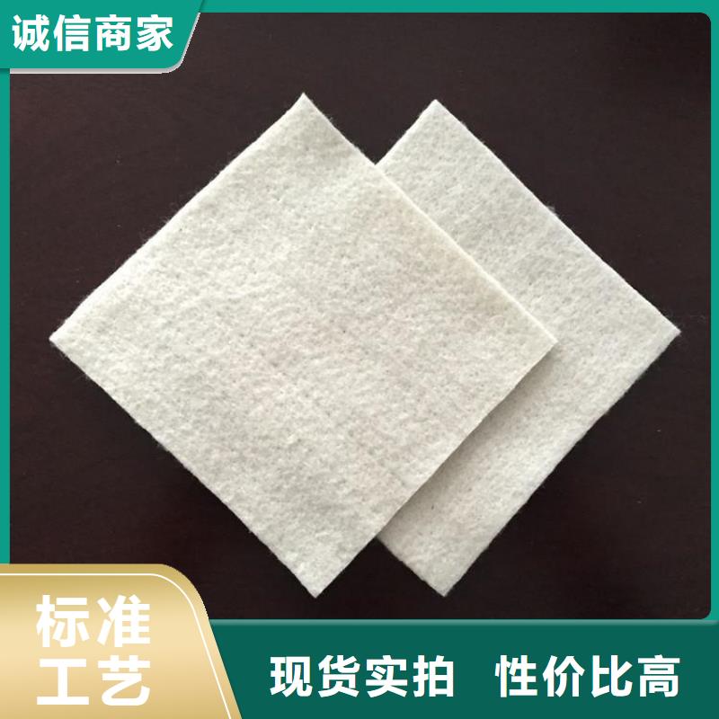 土工布膨润土防水毯现货直发真诚合作