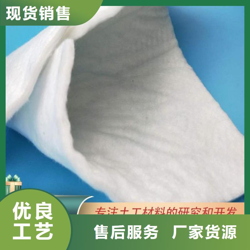 土工布工艺精细质保长久同城公司