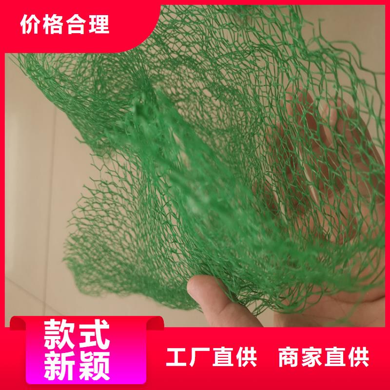 三维植被网防渗膜分类和特点厂家直销大量现货