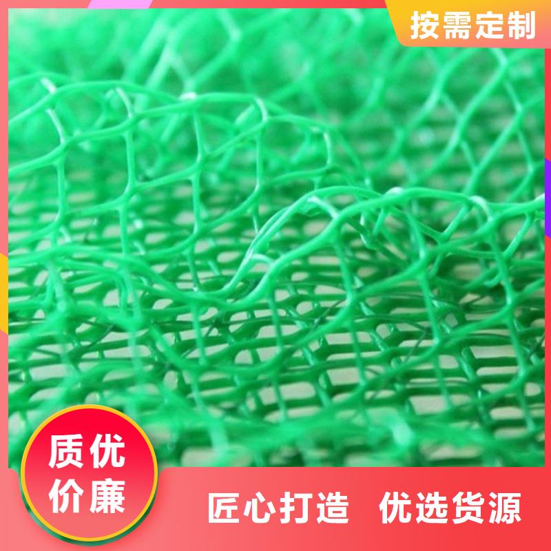 三维植被网土工格栅细节严格凸显品质本地经销商