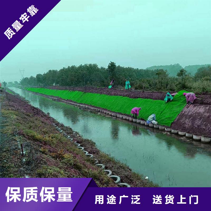 【三维植被网土工膜用心细节】同城经销商