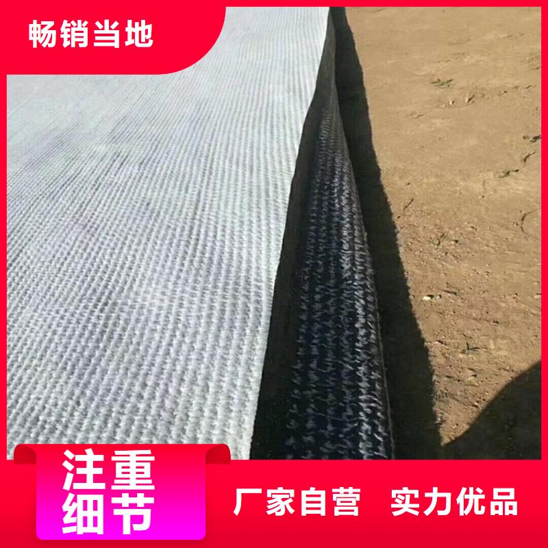 膨润土防水毯防渗膜发货及时源头采购