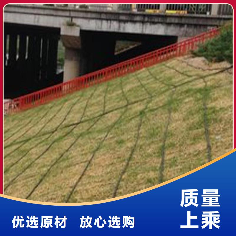 椰丝毯,塑料盲沟采购当地经销商
