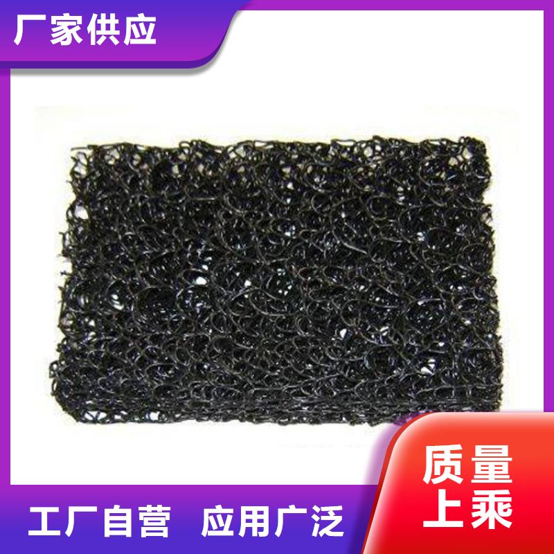 土工席垫HDPE土工膜实力雄厚品质保障一件也发货
