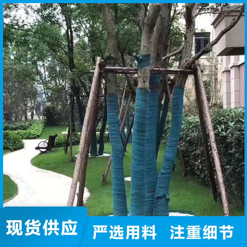 裹树布土工膜专业厂家分类和特点