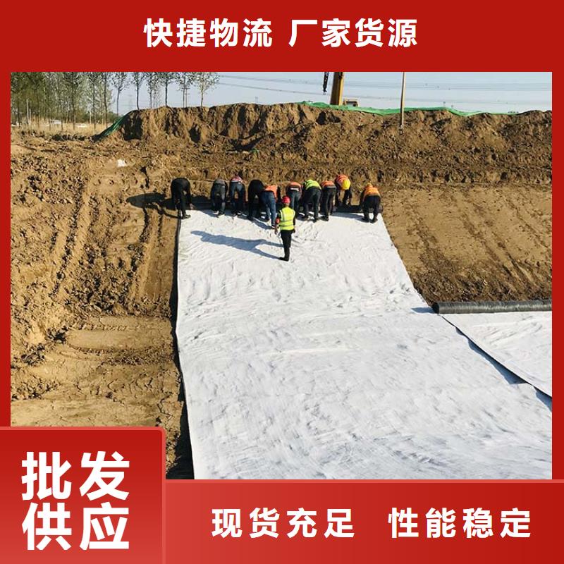 膨润土防水毯聚酯布厂家经验丰富本地供应商