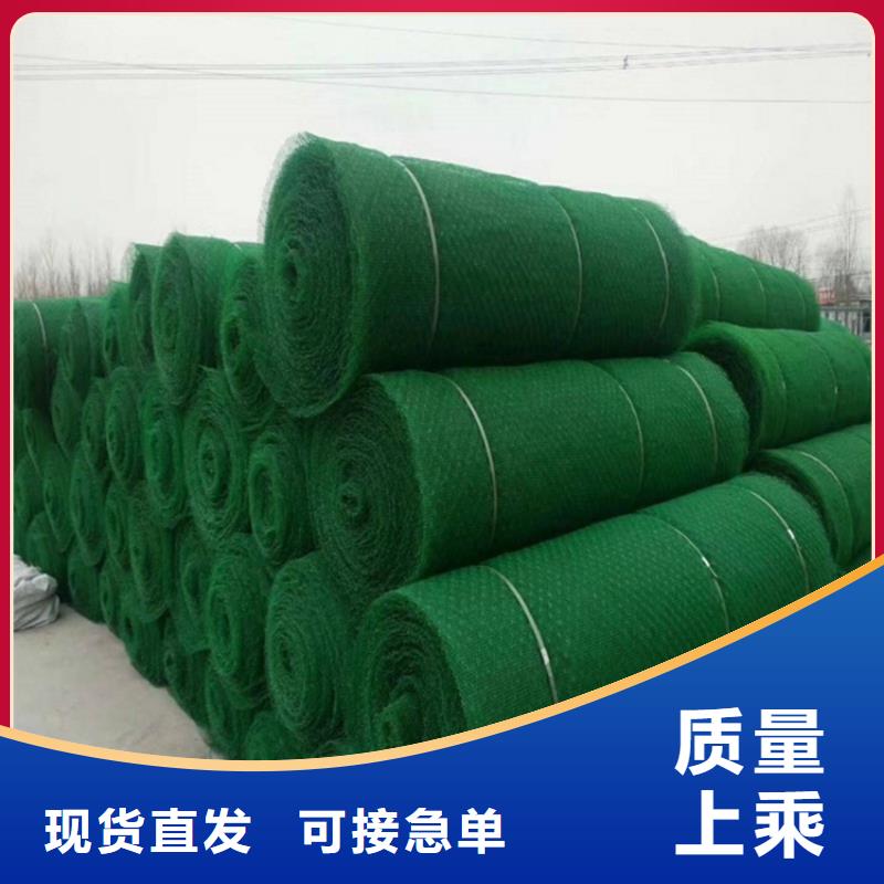 三维植被网【防渗膜】厂家新品加工定制