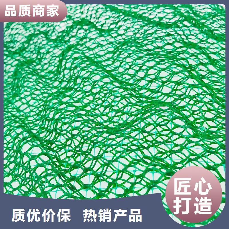 三维植被网【双壁打孔波纹管】用心服务厂家实力大