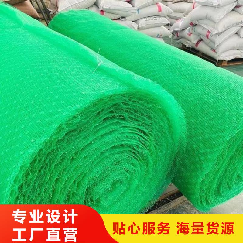 三维植被网聚丙烯纤维生产厂家大品牌值得信赖拒绝伪劣产品
