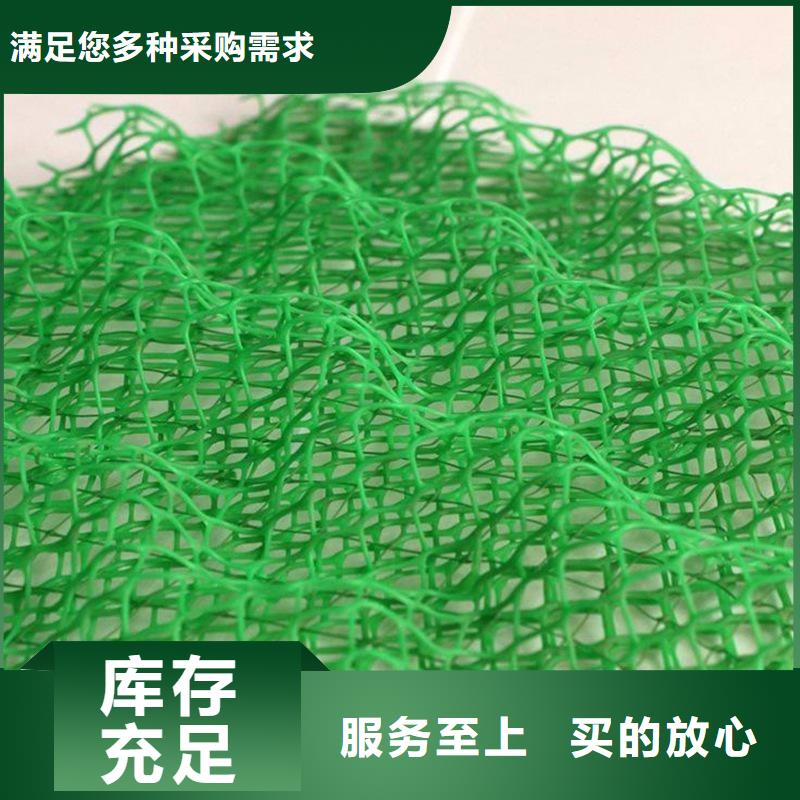 三维植被网铜止水品质商家大量现货