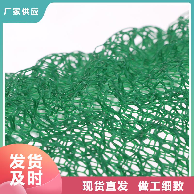 ​三维植被网砂浆混凝土纤维品种全专心专注专业