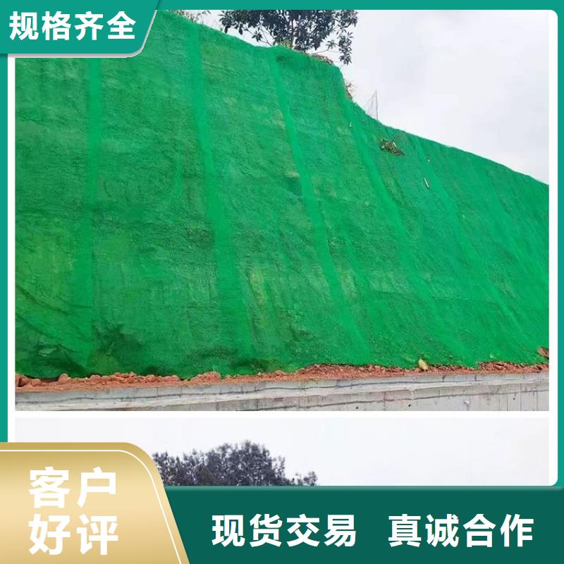 【三维植被网-pp杜拉纤维质量看得见】同城服务商