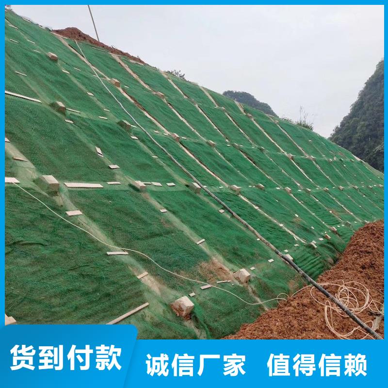 三维植被网聚乙烯醇纤维厂家本地配送精工打造