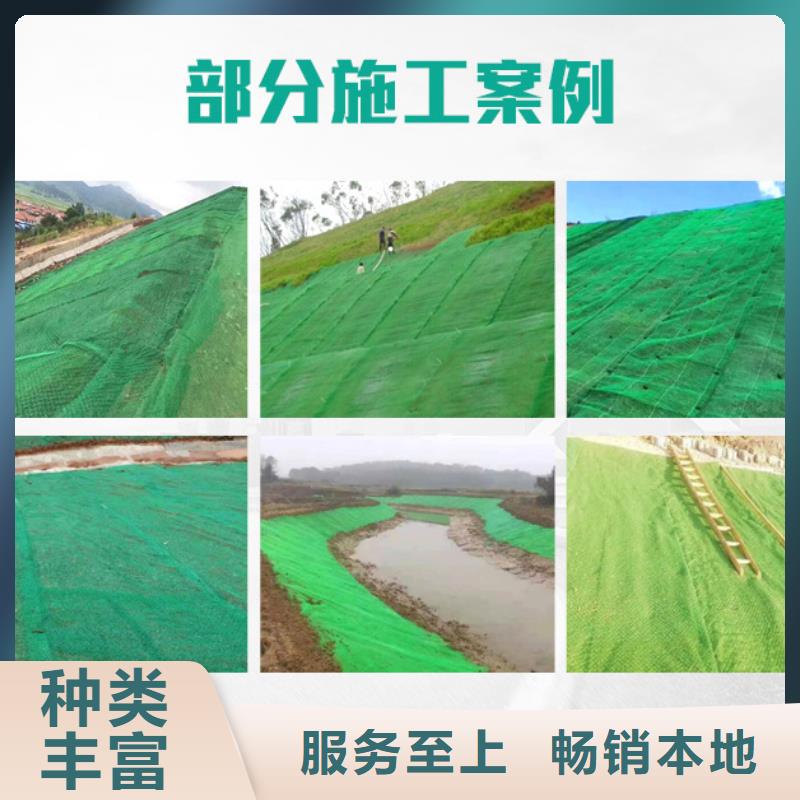三维植被网双壁打孔波纹管制造厂家本地生产商