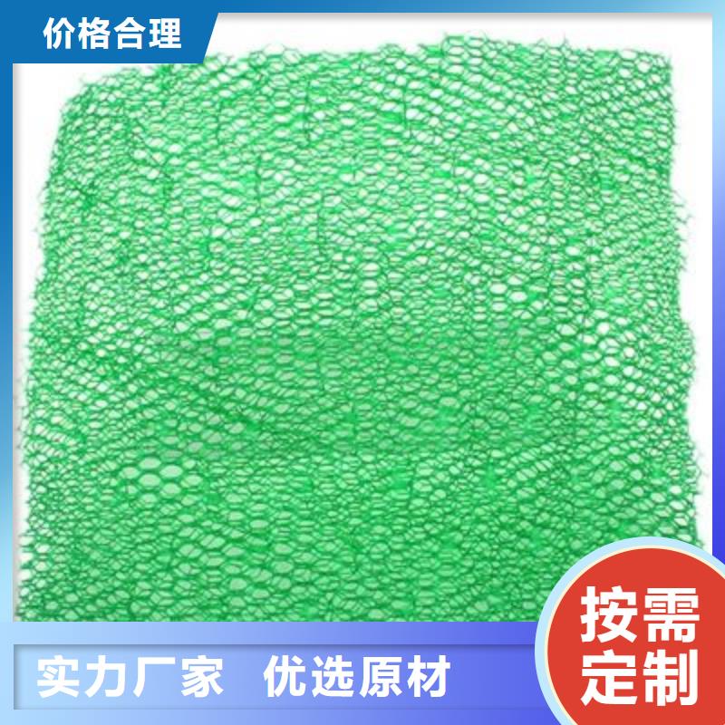 三维植被网土工布24小时下单发货拥有核心技术优势