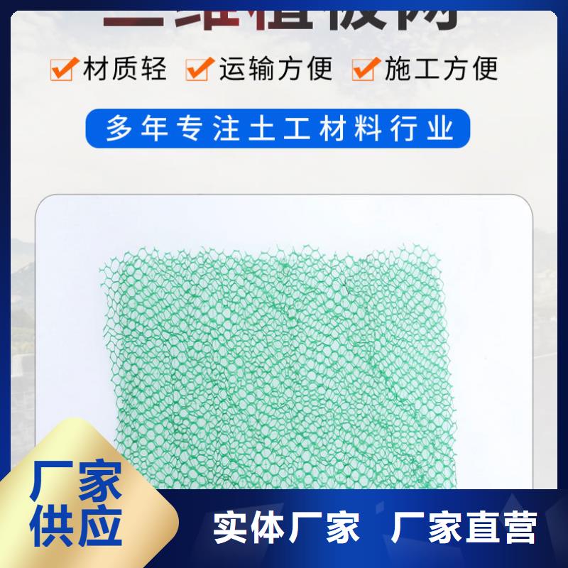 三维植被网-塑料盲管品质商家当地制造商