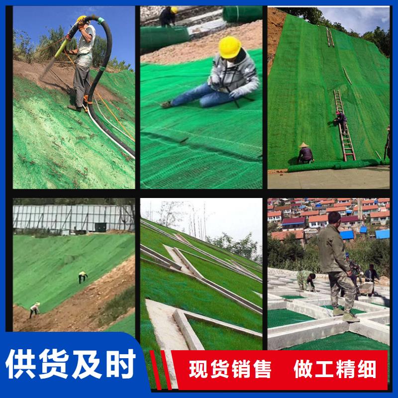三维植被网_聚乙烯醇纤维用品质赢得客户信赖同城公司