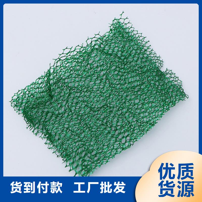 【三维植被网】,止水铜片制造生产销售当地制造商
