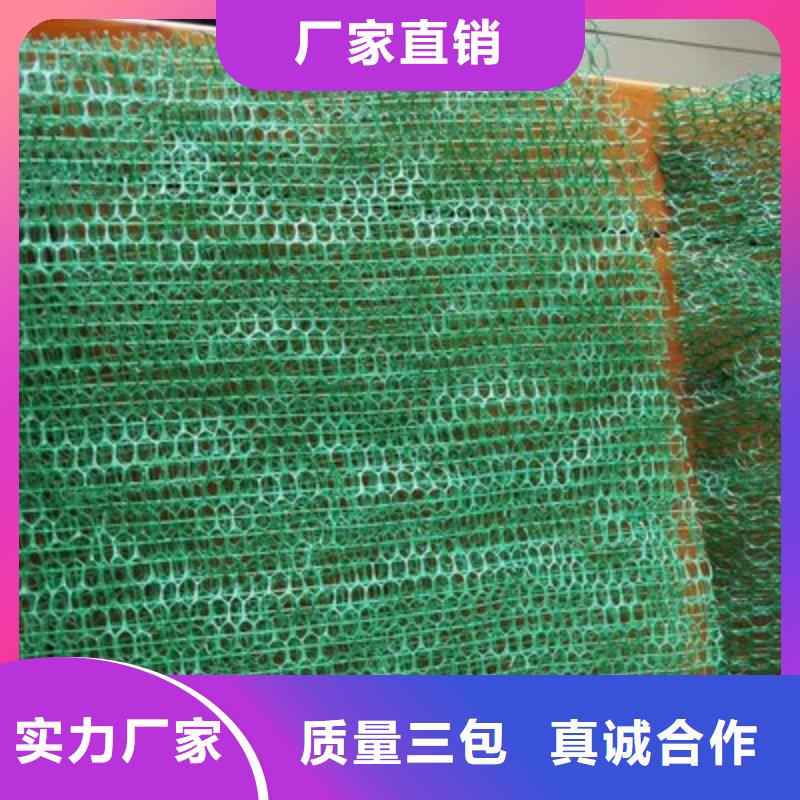 三维植被网紫铜止水片供应商口碑好实力强