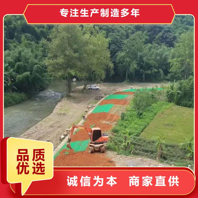 【三维植被网聚丙烯纤维生产厂家库存充足】价格地道