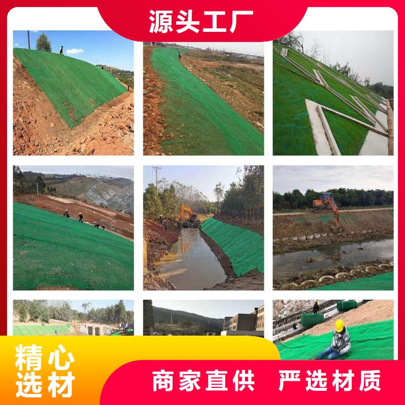 三维植被网土工席垫质量优选同城品牌