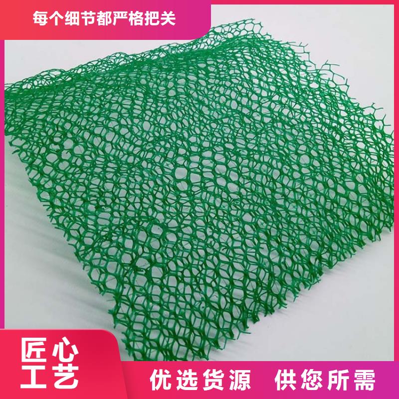 三维植被网土工席垫值得买质检严格