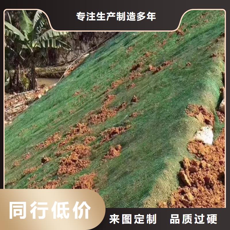 三维植被网紫铜止水片好产品有口碑畅销本地
