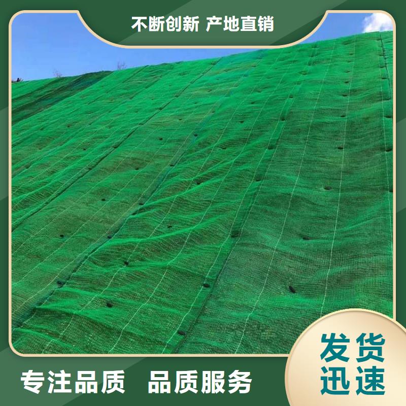 三维植被网【止水铜片】产品优势特点本地生产厂家