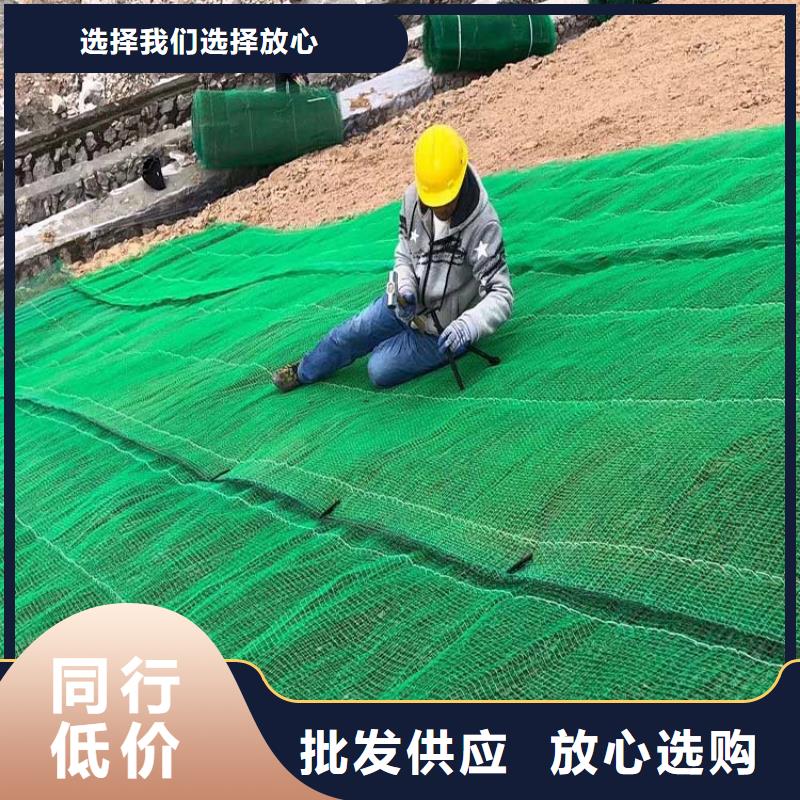 三维植被网聚乙烯醇纤维大厂生产品质价格实惠工厂直供