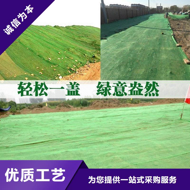 【三维植被网止水铜片的图文介绍】设计制造销售服务一体