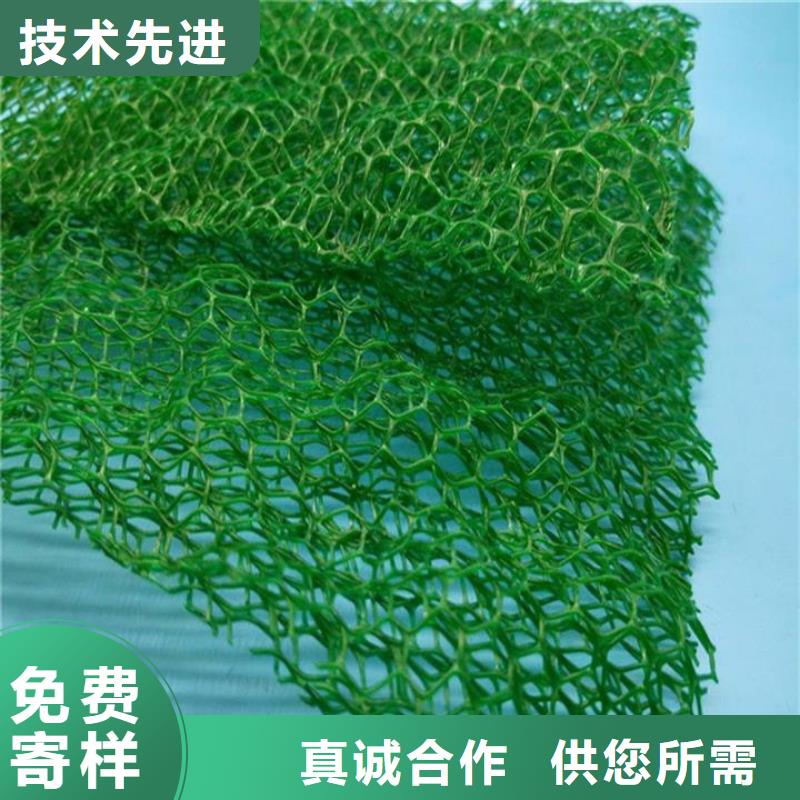三维植被网【土工格栅】按需定制厂家拥有先进的设备