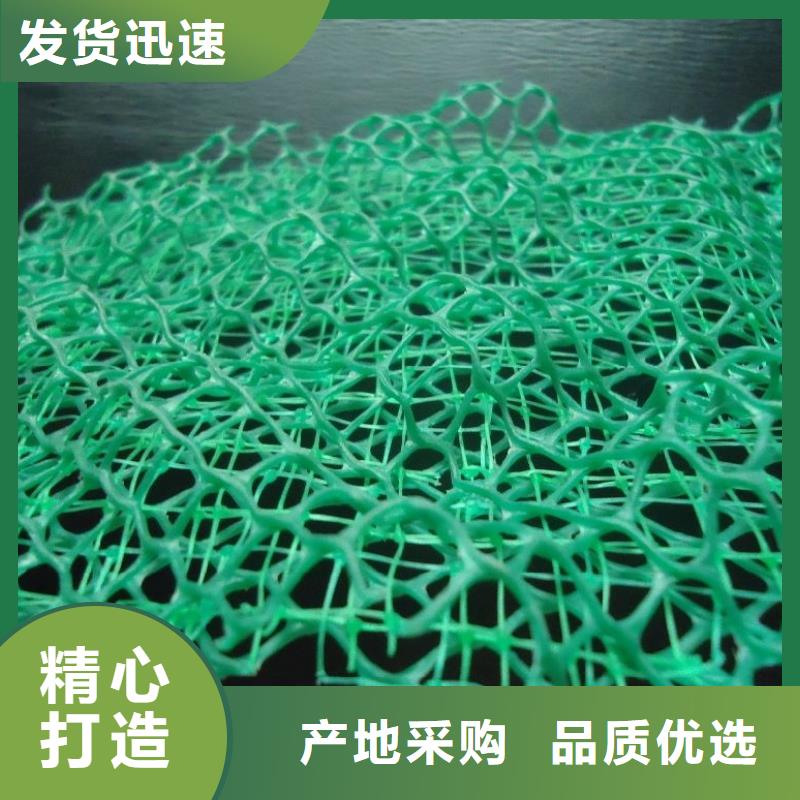 三维植被网铜片止水厂家产地采购同城生产商