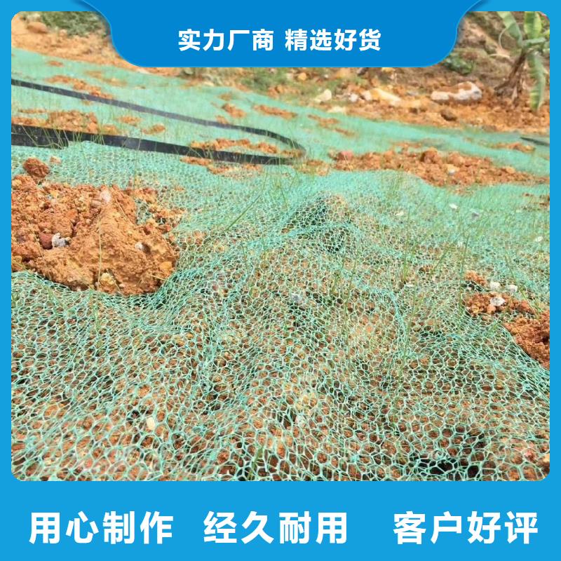 三维植被网排水盲管实拍展现现货充足
