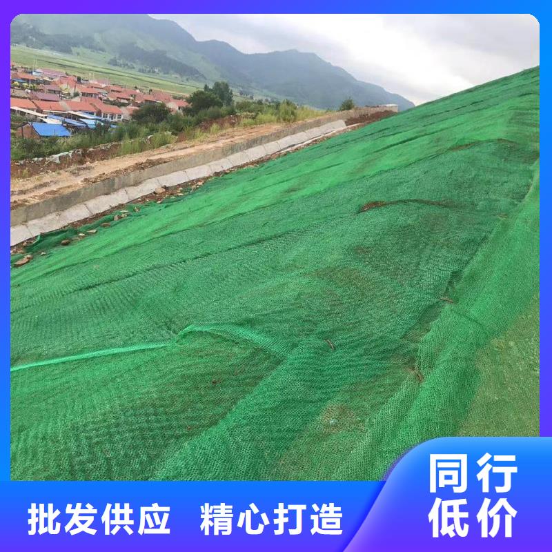 三维植被网聚丙烯腈纤维从厂家买售后有保障当地厂家值得信赖