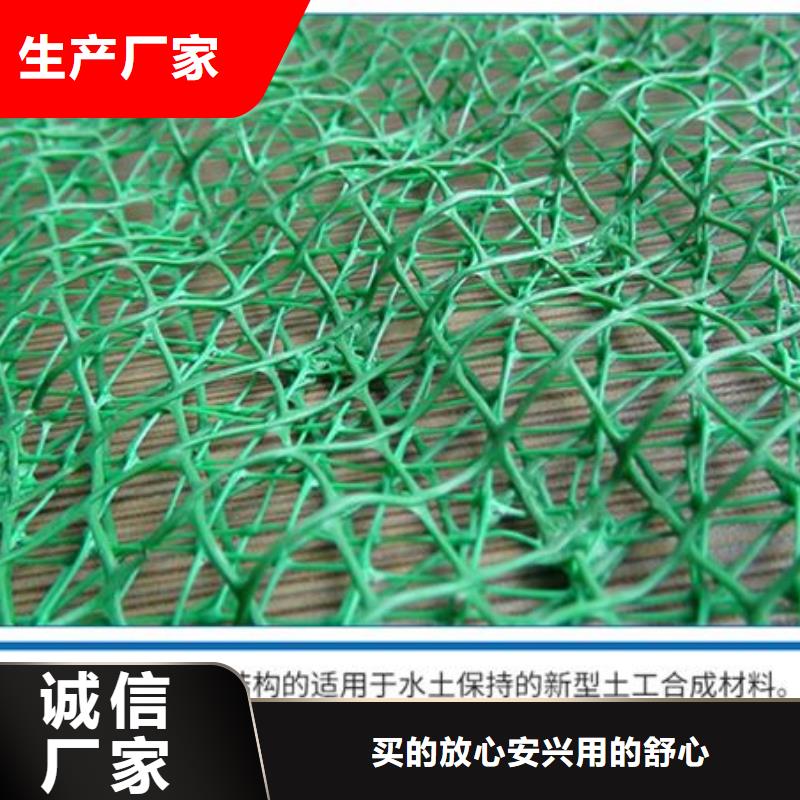 三维植被网止水铜片厂家专业完善售后价格实惠工厂直供