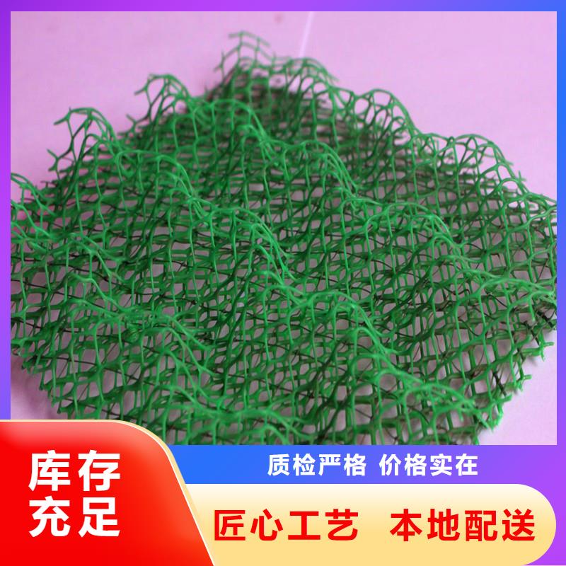 三维植被网水平止水铜片工厂现货供应工艺层层把关