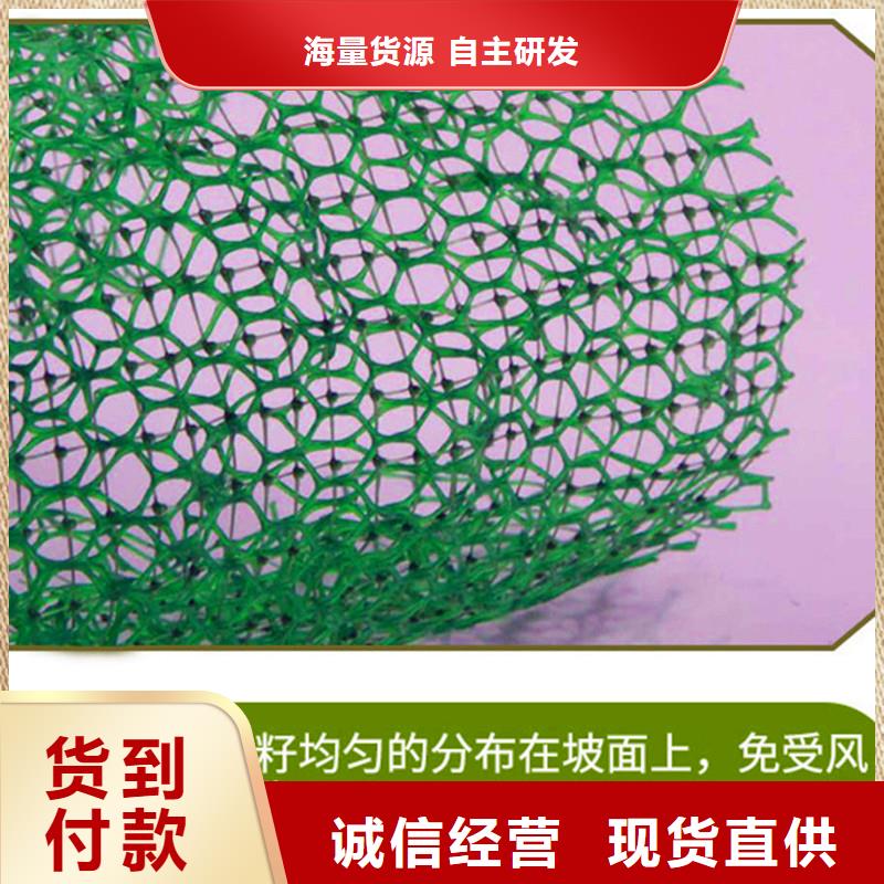 三维植被网土工膜安心购当地服务商