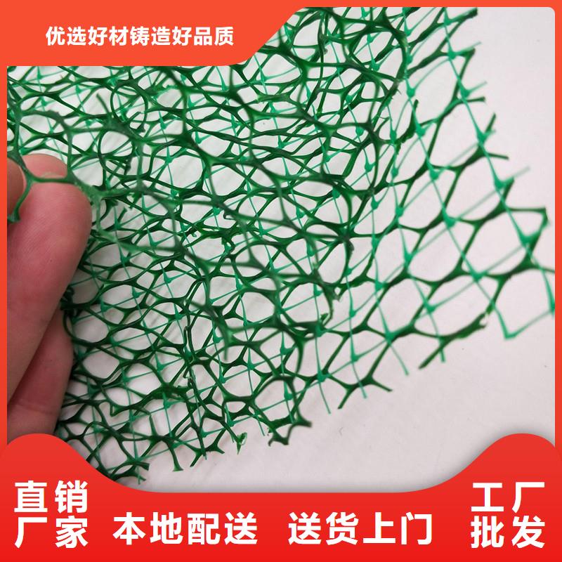 【三维植被网-排水盲管品质服务诚信为本】支持定制
