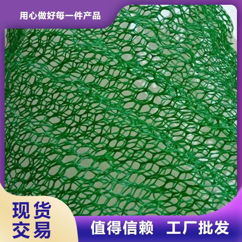【三维植被网】,铜止水设计制造销售服务一体同城品牌