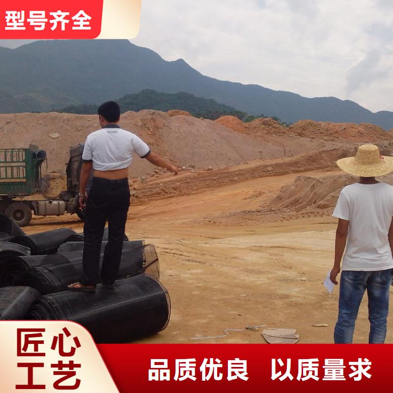 土工格栅-铜片止水厂家销售拒绝中间商